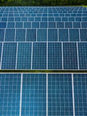 Contemporary installation of solar panels mounted on field in environmental friendly solar power station