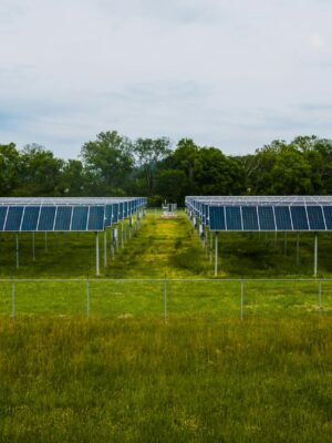Modern photovoltaic solar energy station in lush countryside