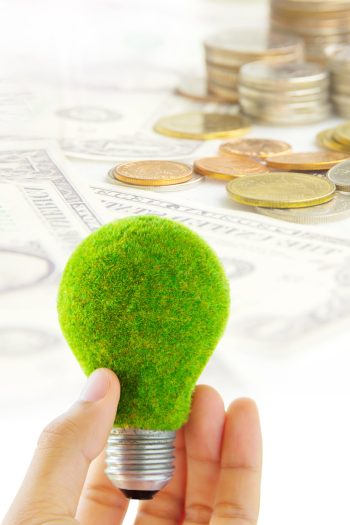cropped-hand-person-holding-green-light-bulb-with-currencies-background